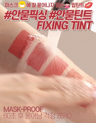 Etude Fixing Tint 4g (Waterproof)