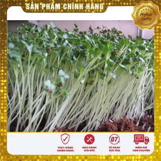 Hạt giống Rau mầm củ cải trắng (50gr)