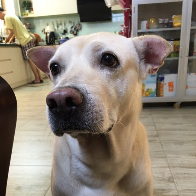 Tủ đồ của Thư - Pass & 2Hand