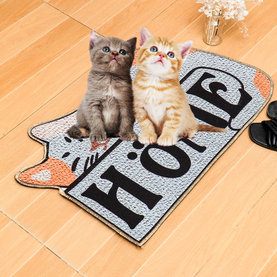 Nệm Đệm Thảm Nằm Cho Thú Cưng 45x65cm