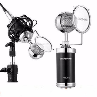 Micro thu âm ts-99