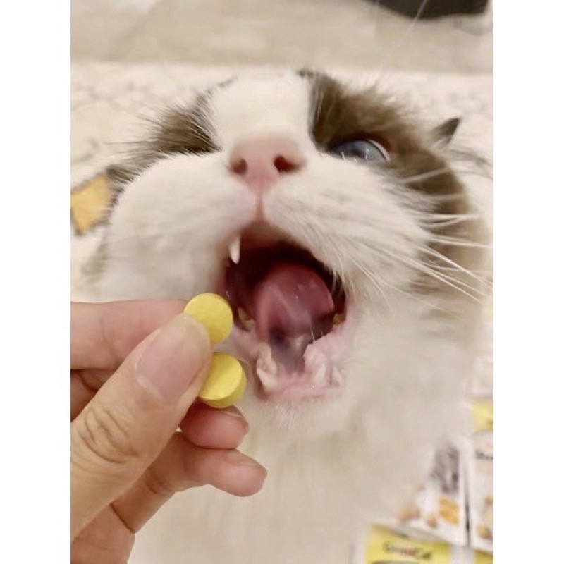 Gimcat Viên Phomai giảm stress cho mèo đồ ăn vặt dưỡng lông cho mèo NourseVietnam VG01
