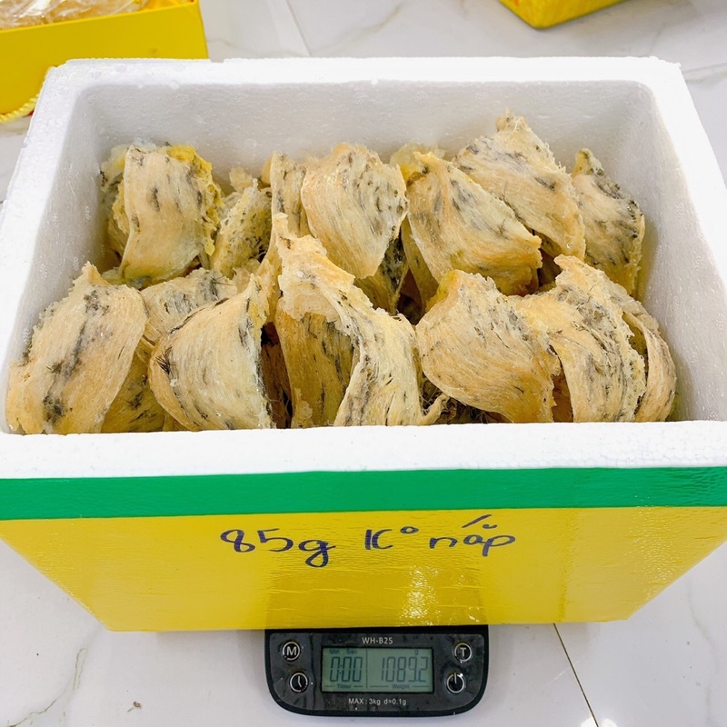 Tổ yến thô còn lông loại 1, 100gr Yến Bình Thuận Nguyên chất- Tặng táo đỏ, hạt chia…