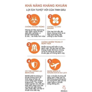TINH DẦU GỖ NGỌC AM HÀ GIANG