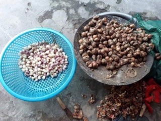 Hành phi keto nhà làm (k pha) 100% hành khô