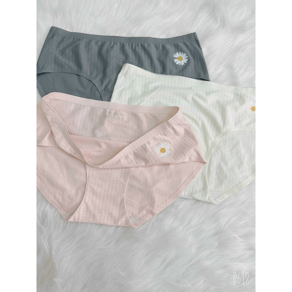 Quần Lót Nữ Đúc Su Thun Lạnh Hoa Cúc Cao Cấp Không Đường May Mềm Mại Kháng Khuẩn Min Underwear- 02110 | BigBuy360 - bigbuy360.vn