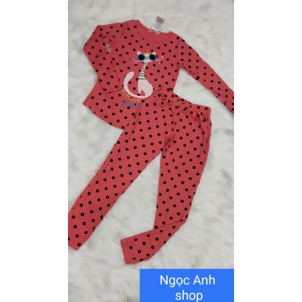 Bộ tay dài quần dài thun cotton 100% sale