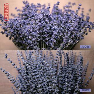 Hoa oải hương khô