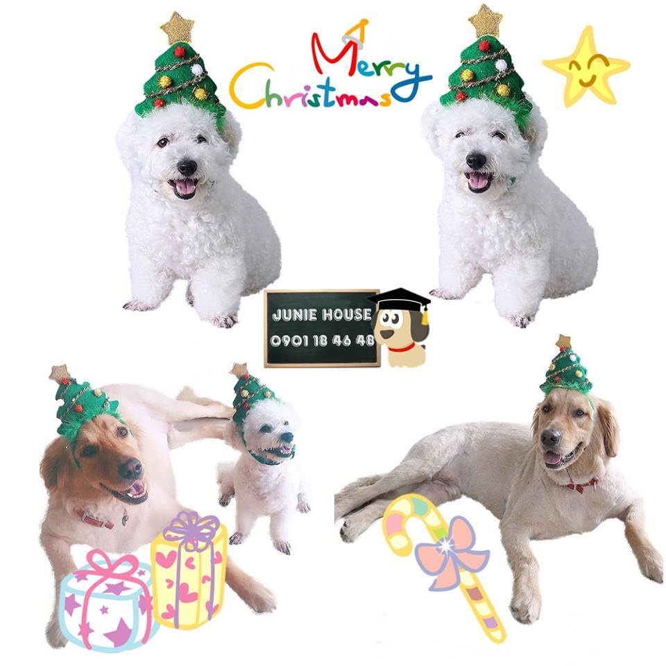 Nón cây thông Noel cho chó mèo đồ hoá trang Noel chó mèo