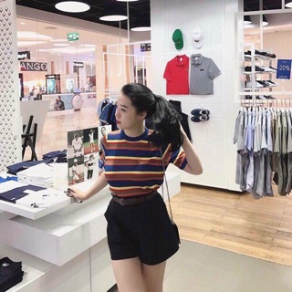 Áo len soc ngang ( Hình Thật+ Video )