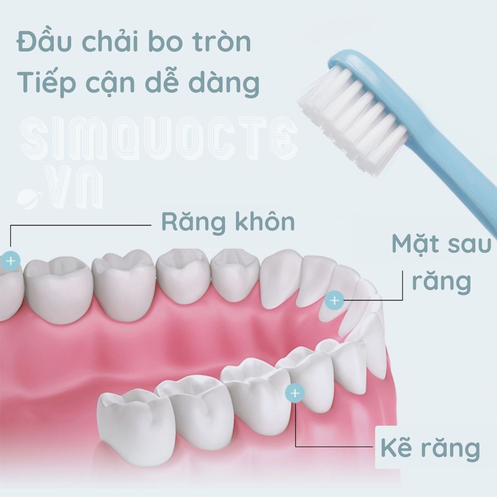 Bàn chải đánh răng đi du lịch lông chải Nhật Bản - Hàng chính hãng Xiaomi Jordan&amp;Judy