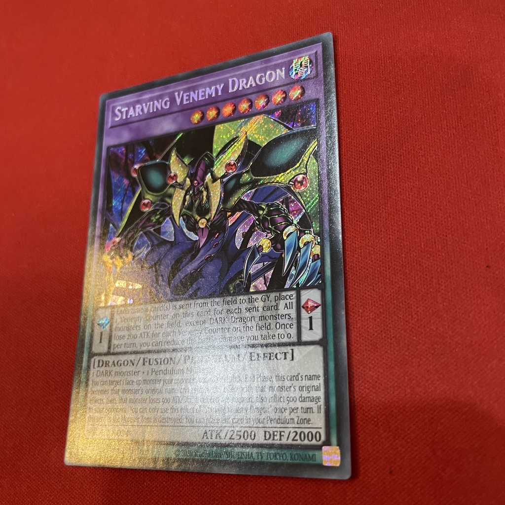 Starving Venemy Dragon