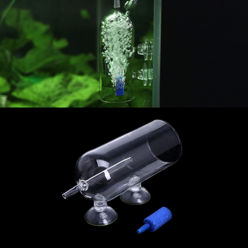 Bộ dụng cụ sục khí oxy cho bể cá