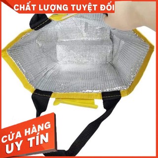 túi giữ nhiệt cá siêu kute