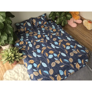 Chăn hè chần bông mỏng poly cotton