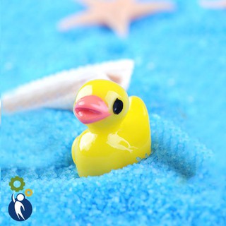 2 Con Vịt Mô Hình mini trang trí