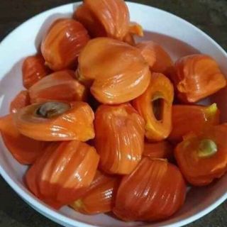 Cây 🌲 Mít ruột đỏ... siêu trái