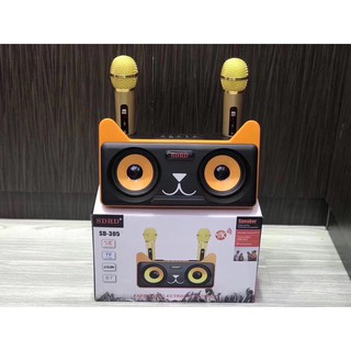 Loa Karaoke Bluetooth SD-305 Kèm 2 Micro - Huco Việt Nam