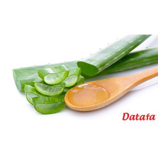 Chai Nước Yến sào Nha Đam Datafa 500ml