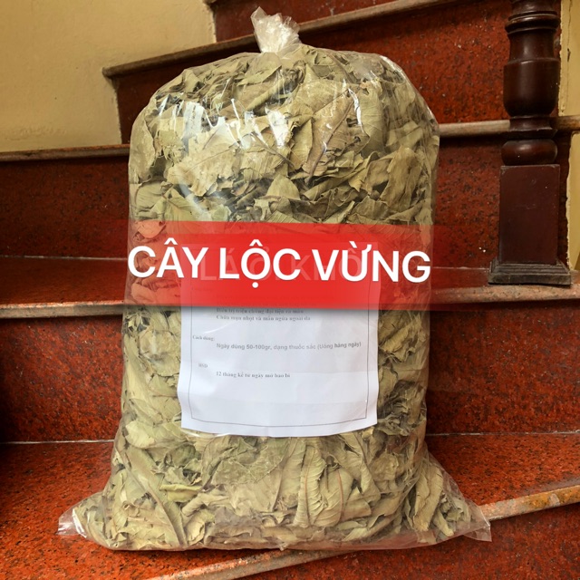 1kg lá lộc vừng khô ( cây lộc vừng khô) hàng chuẩn loại 1 thơm ngon