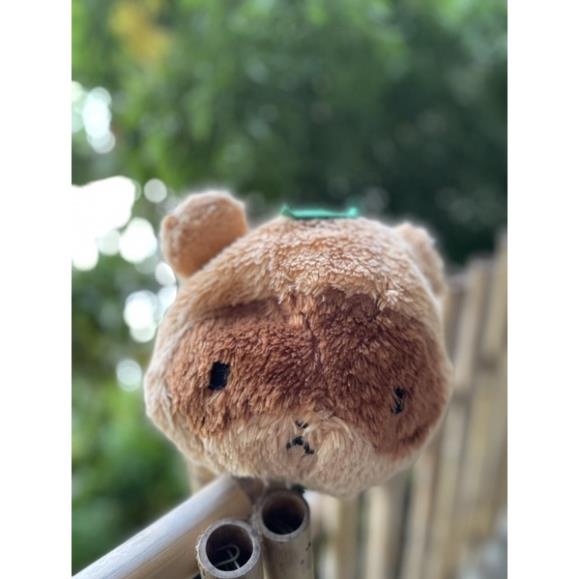 Gấu bông chồn đội lá lông xù 20-25cm