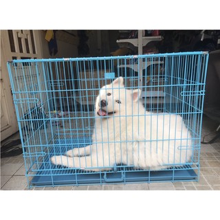 [GIÁ RẺ] LỒNG CHUỒNG CHÓ MÈO Dưới 3kg