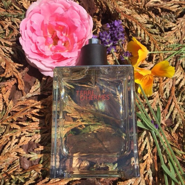 Nước hoa Terre d'Hermès EDT