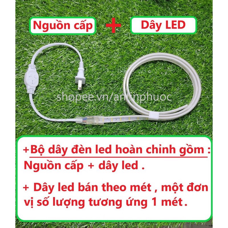 Giá cuộn 100m dây led hắt 2 hàng chéo