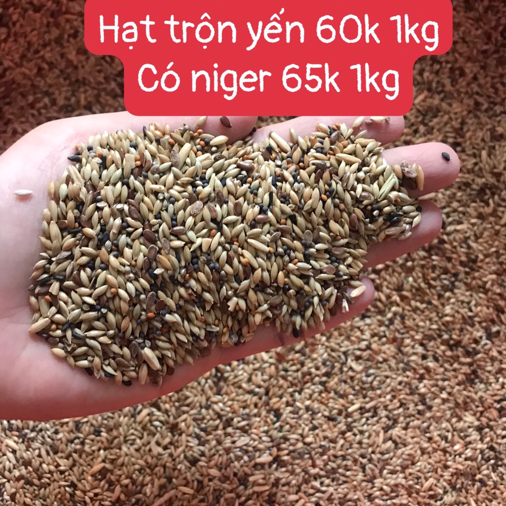 Hạt trộn cho yến hót