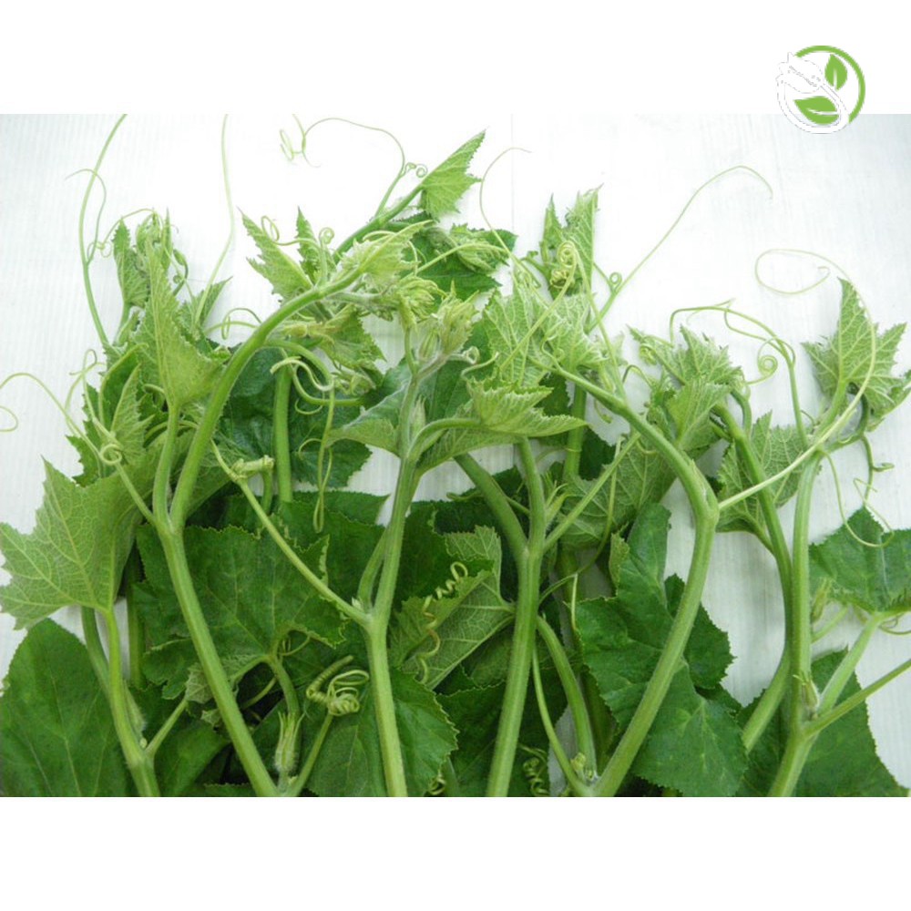 Hạt Giống Bí Ngọn  PN-812 - Gói 10g - Super Shoots Pumpkin PN-812