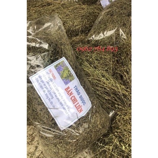 1Kg Bán Chi Liên (Sao vàng hạ thổ,  khô, thơm) Hoàng cầm râu hỗ trợ K, U bướu