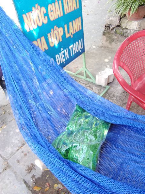 Võng lưới cuộn đầu | BigBuy360 - bigbuy360.vn