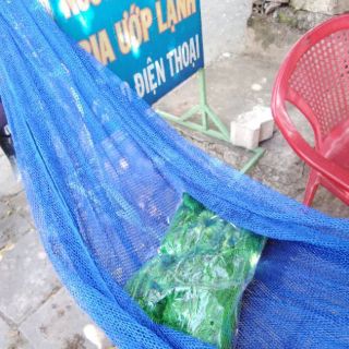 Võng lưới cuộn đầu