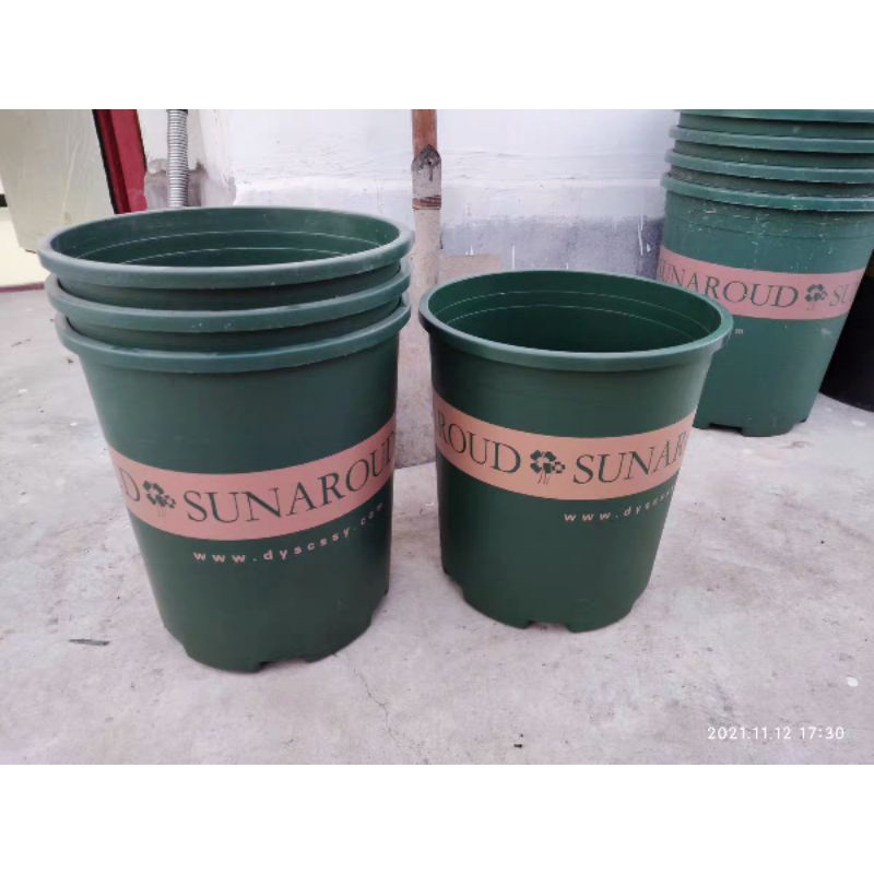Chậu nhựa trồng cây Sun Around - Màu xanh - size to giá rẻ Chậu hoa cảnh Sun Around