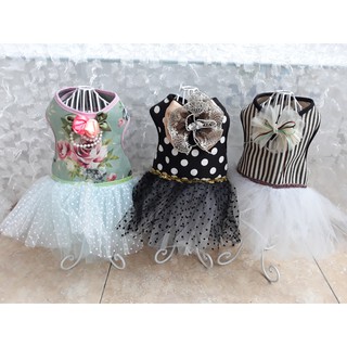 Dây đai người kèm áo 2in1 cho chó