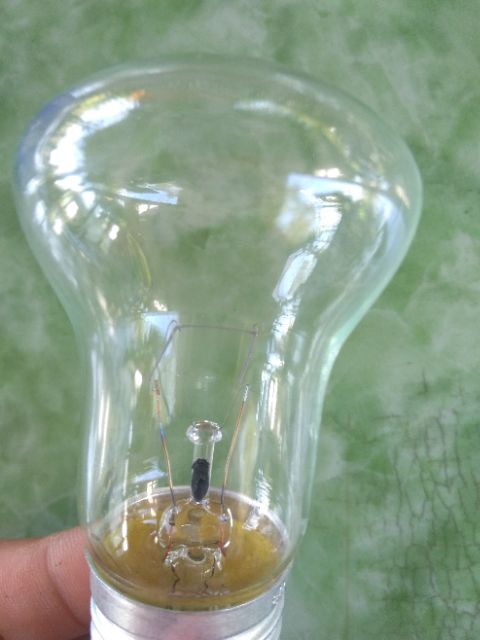 Đèn máy ấp trứng - bóng trong suốt