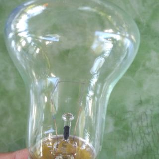 Đèn máy ấp trứng - bóng trong suốt hoặc đục
