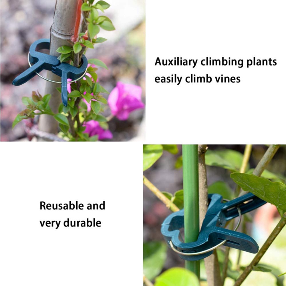 Set 10 / 20 Kẹp Cố Định Cành Cây Bằng Nhựa Tiện Dụng