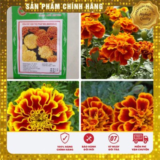 Hạt Giống Hoa Cúc Vạn Thọ Pháp Mix (50 hạt )