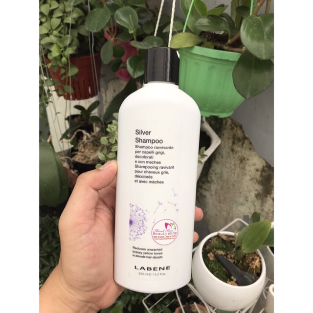 Dầu gội tím Silver Shampoo LABENE GIỮ MÀU & KHỬ VÀNG ( Mẫu mới) 420ml (₫385.000 ₫299.078 22% GIẢM)