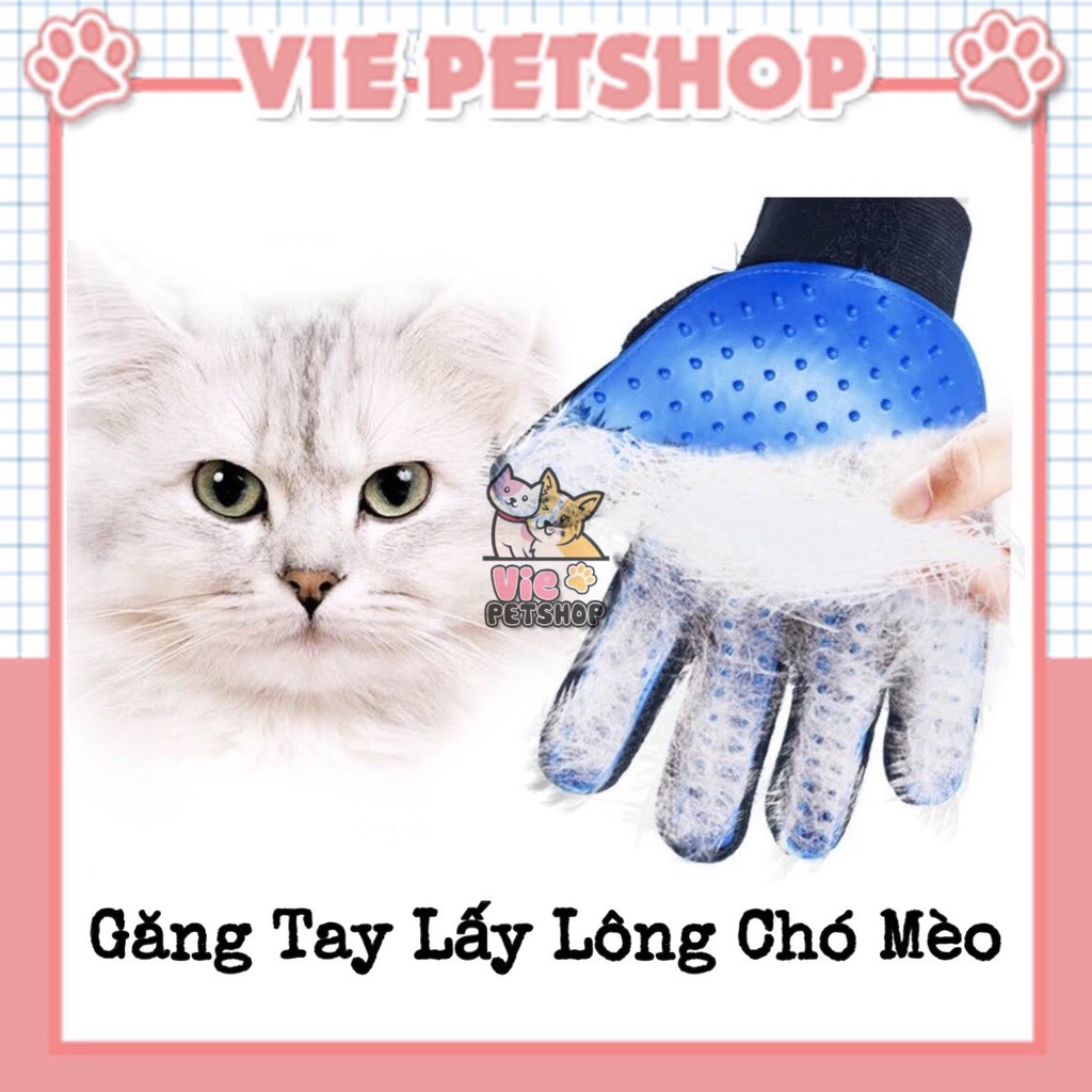 Găng Tay Lấy Lông Rụng cho Thú Cưng Siêu Dễ | Vie PETSHOP