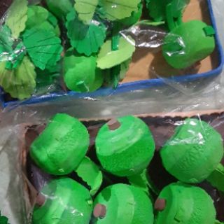 Túi, vỉ rau, củ, quả, cây hoa