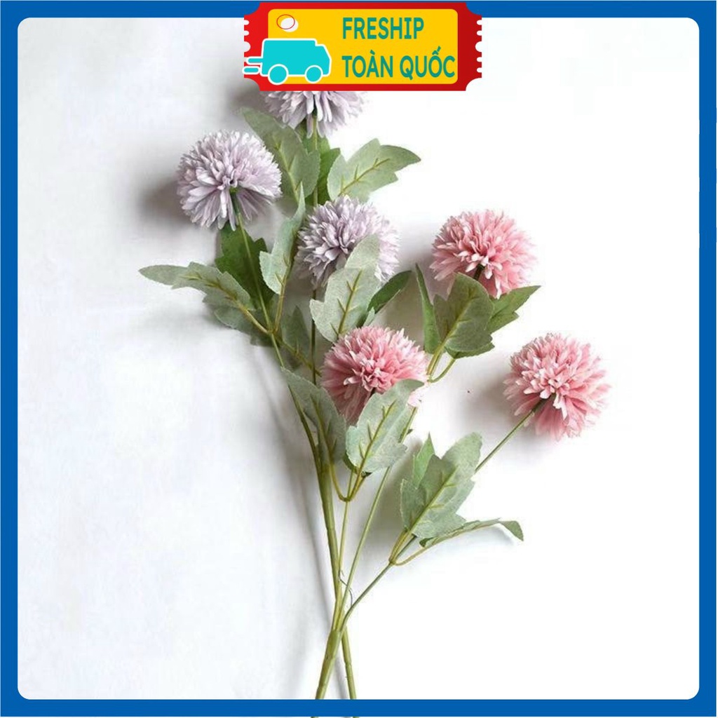 PVN21072 Hoa bồ công anh siêu xinh trang trí , décor chụp ảnh sản phẩm T2 .