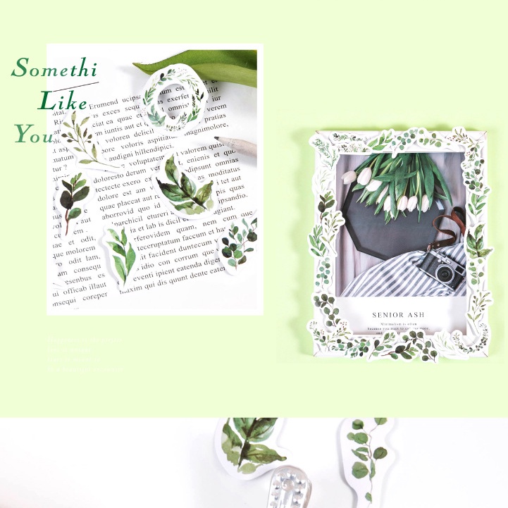 Hộp 46 miếng sticker mẫu vòng lá cây xanh