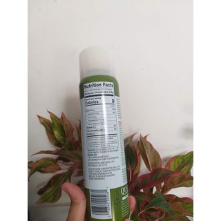 Dầu ăn kiêng olive dạng xịt