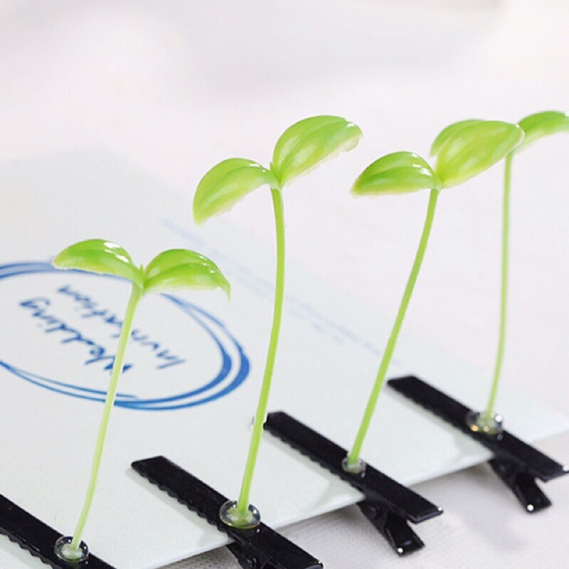 Sỉ 10 kẹp tóc mầm cây