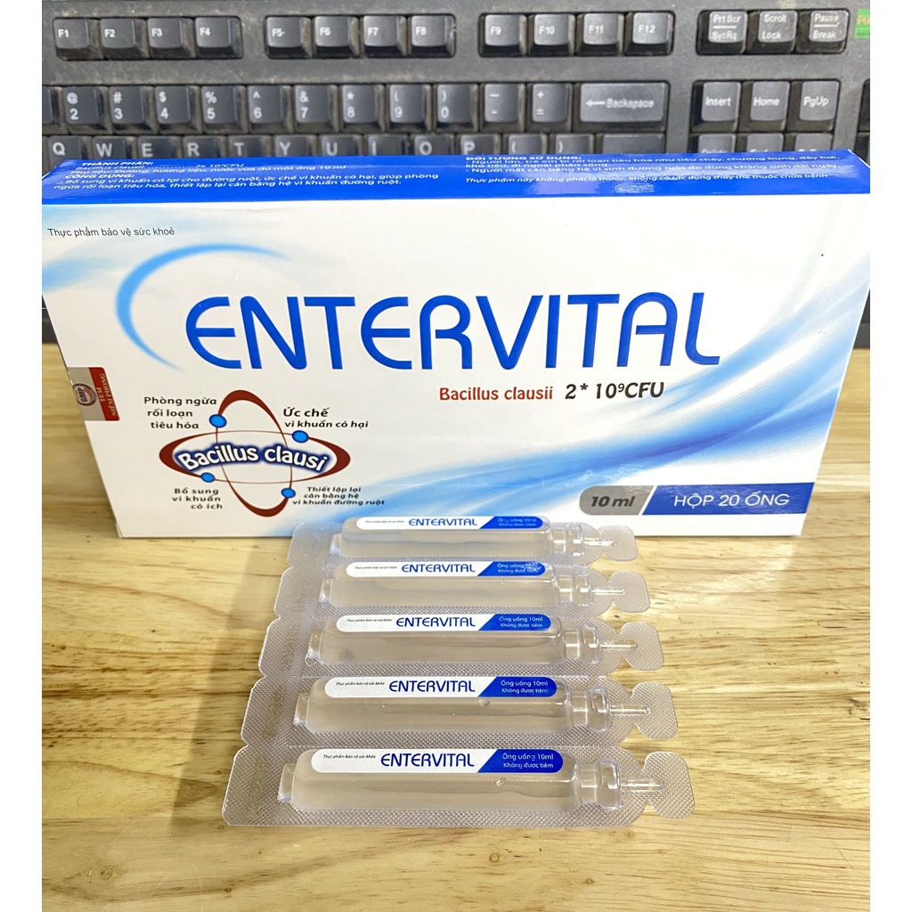 Men Tiêu Hoá Entervital - Phòng Ngừa Rối Loạn Tiêu Hóa, Bổ Sung Lợi Khuẩn - Hộp 20 ống