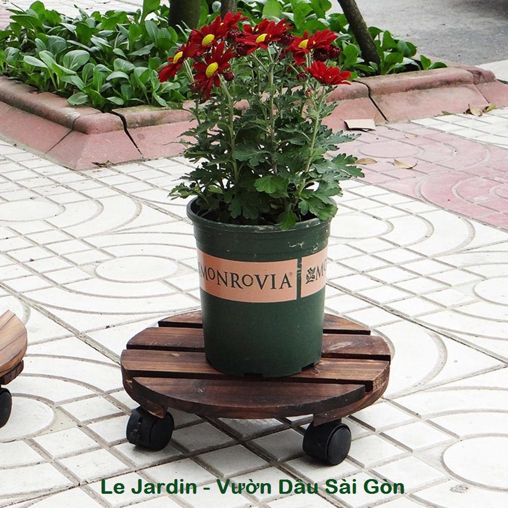 [HOT] COMBO 5 Chậu Nhựa Cao Cấp Monrovia 3gl &quot;24x26.5cm&quot; c/lượng, hg C/ty.