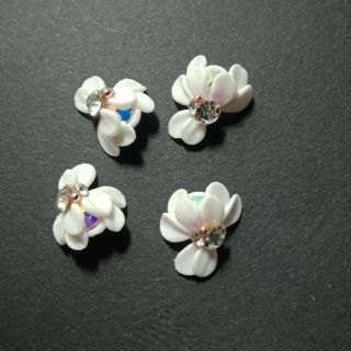 Hoa bột ngành nail