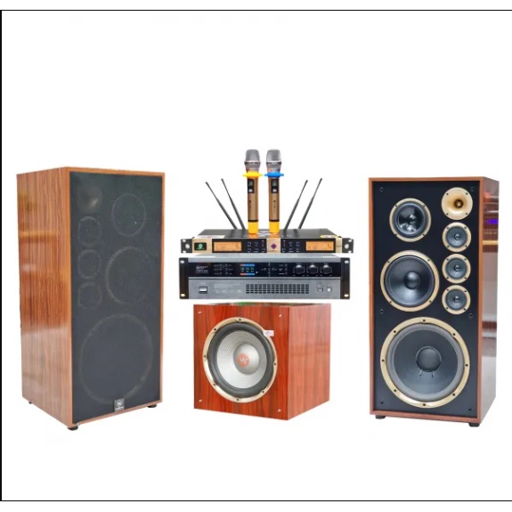 Bộ dàn karaoke gia đình loa Weeworld W921pro 24,5 triệu